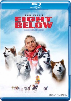 Eight Below 2006 m720p BluRay x264-BiRD Eight Below 2006 m720p BluRay x264-BiRD