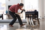 Пингвины мистера Поппера / Mr. Popper's Penguins (Джим Керри, 2011) - 4xHQ 81badb297611572