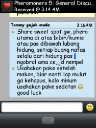 ImageBam image upload