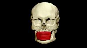 imagebam.com