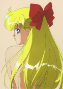 Сейлор Мун / Sailor Moon (1993-1994) - 17xHQ 8231cf304059712