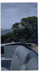 97dd0f310542975.jpg