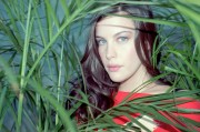 Лив Тайлер (Liv Tyler) фотограф Warwick Saint (6xHQ) 8eb879313149087