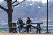 imagebam.com