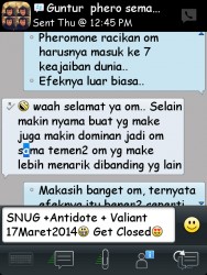 ImageBam image upload