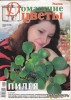 Скачать журнал Домашние цветы 2009-№5(20), май 2009 г. Домашние цветы 2009-№5(20), май 2009 г.