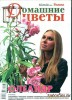 Скачать журнал Домашние цветы 2009-№7(22), июль 2009 г. Домашние цветы 2009-№7(22), июль 2009 г.