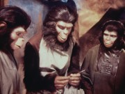 Планета обезьян / Planet of the Apes (1968) - 21 HQ De3198328683274