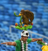 Mexico vs. Cameroon - 2014 FIFA World Cup Group A Match, Dunas Arena, Natal, Brazil, 06.13.14 (204xHQ) 59cc17333296767