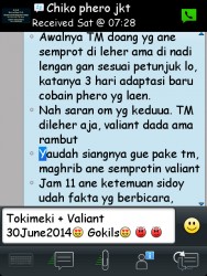 ImageBam image upload