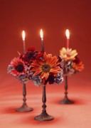 Праздничные цветы / Celebratory Flowers (200xHQ) 324099337466038