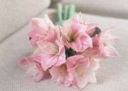 Праздничные цветы / Celebratory Flowers (200xHQ) 328ba9337465495