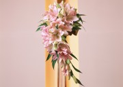 Праздничные цветы / Celebratory Flowers (200xHQ) 4849c6337465359