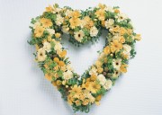 Праздничные цветы / Celebratory Flowers (200xHQ) 6c9b3b337465318