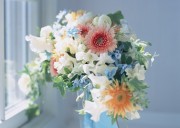 Праздничные цветы / Celebratory Flowers (200xHQ) 81be73337465403