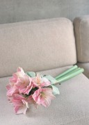 Праздничные цветы / Celebratory Flowers (200xHQ) Dc1101337466187