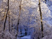Winter / Зима - (166xHQ)  099293337519961