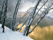 Winter / Зима - (166xHQ)  D8d96c337519772