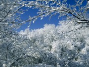 Winter / Зима - (166xHQ)  47721d337520064