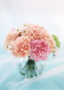 Цветы / Images of flowers (200xHQ) 30c82e338289457