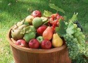 Обильный урожай фруктов (195xHQ) D92904338639152