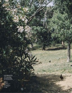 http://thumbnails110.imagebam.com/34029/061394340289678.jpg