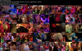 Party Hardcore Gone Crazy Vol. 13 Part 2 WebRip (2014)