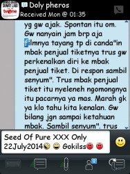 ImageBam image upload