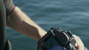 BBC: ������� ������� / Ocean Giants (2011/BDRip 720p)