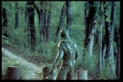 Болотная тварь / Swamp Thing (1982) 60a9d3357267170