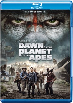 Dawn of the Planet of the Apes 2014 m720p BluRay x264-BiRD Dawn of the Planet of the Apes 2014 m720p BluRay x264-BiRD