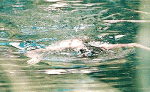 873594375058585.gif