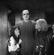 Грех Франкенштейна / The Evil of Frankenstein (1964) 465fb8376882261