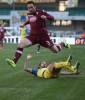 Фотогалерея Torino FC - Страница 4 997715379452739