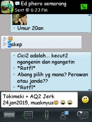 ImageBam image upload