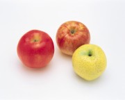Свежие фрукты и овощи / Fresh Fruits and Vegetables (200xHQ)  6ef364387408218