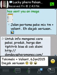 ImageBam image upload