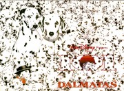 101 далматинец / 101 Dalmatians (Гленн Клоуз, 1996) 47b19e389986534