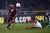 Фотогалерея Torino FC - Страница 4 33c8c7391893068