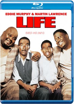 Life 1999 m720p BluRay x264-BiRD Life 1999 m720p BluRay x264-BiRD